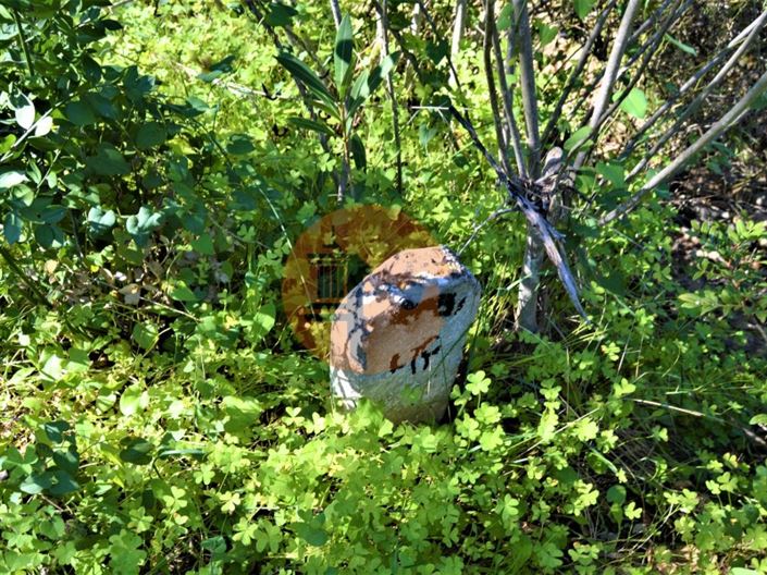 Image No.3-Plot for sale