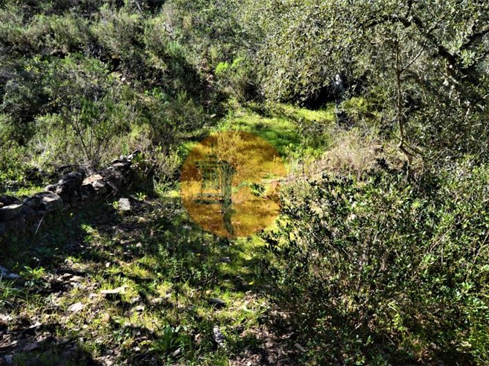 Image No.4-Plot for sale