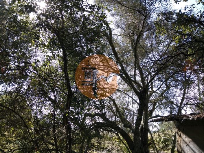 Image No.11-Terrain à vendre à Castro Marim