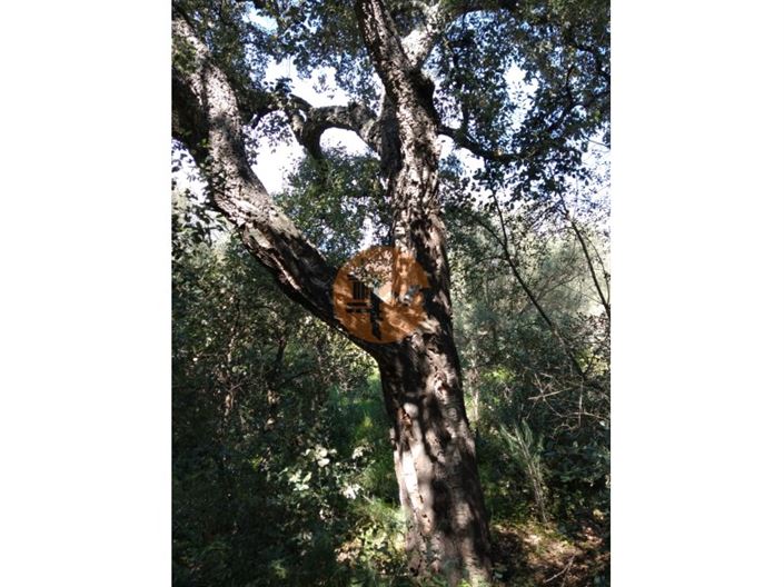 Image No.14-Terrain à vendre à Castro Marim