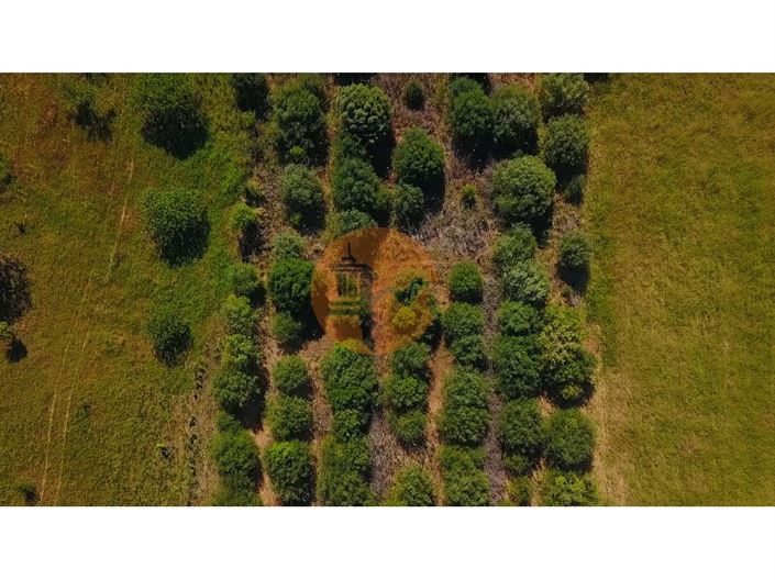 Image No.37-Terrain à vendre à Castro Marim