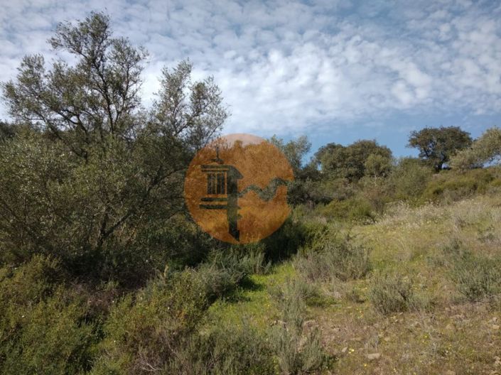 Image No.9-Terrain à vendre à Castro Marim