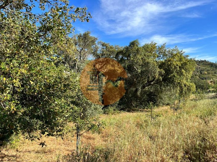 Image No.10-Terrain à vendre à Loule