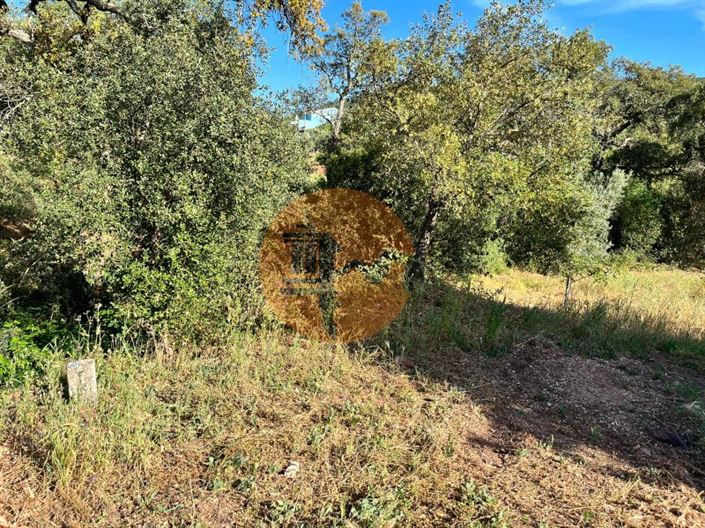 Image No.11-Terrain à vendre à Loule