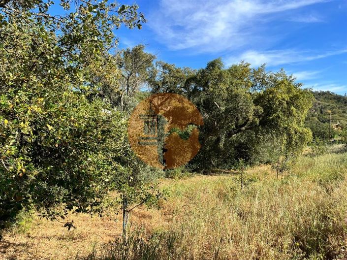 Image No.2-Terrain à vendre à Loule