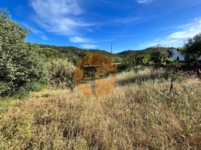 Image No.4-Terrain à vendre à Loule