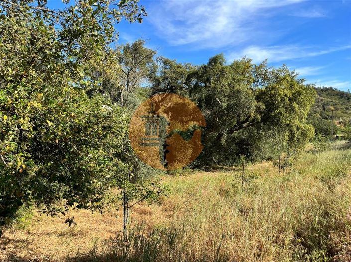 Image No.5-Terrain à vendre à Loule