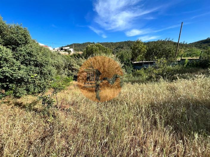 Image No.7-Terrain à vendre à Loule