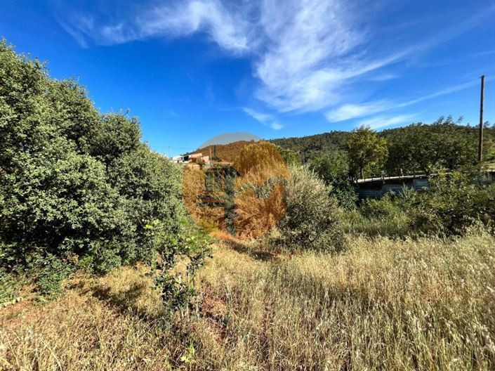 Image No.8-Terrain à vendre à Loule