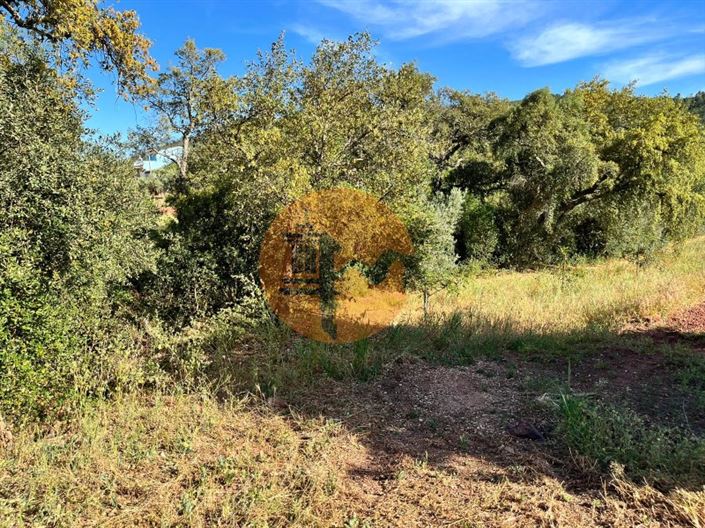Image No.9-Terrain à vendre à Loule