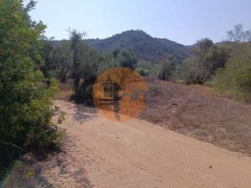 id66265b01-0000-0500-0000-000011a83e0d