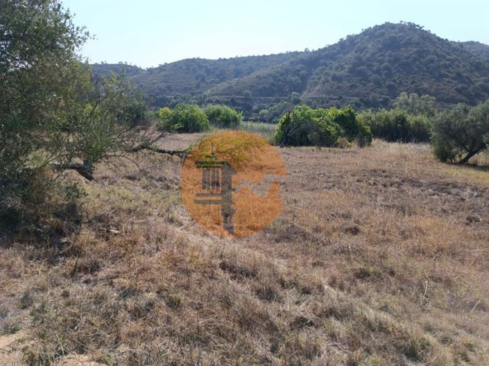 Image No.14-Plot for sale