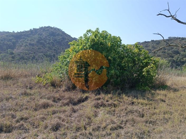 Image No.17-Plot for sale