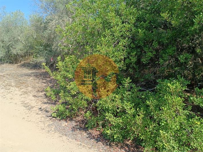 Image No.22-Plot for sale