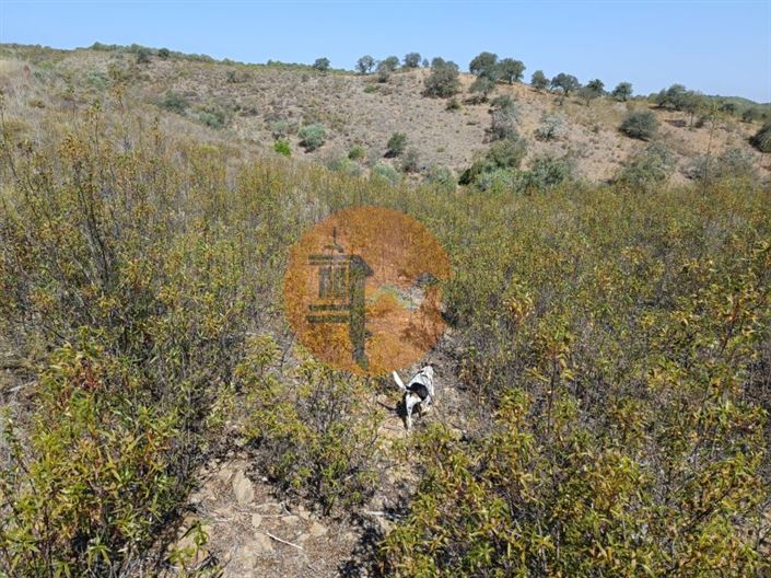 Image No.4-Plot for sale