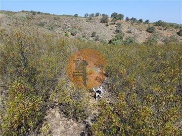 id7c275b01-0000-0500-0000-000011a840fa