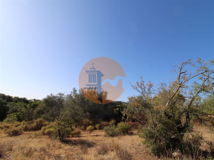 Image No.2-Plot for sale