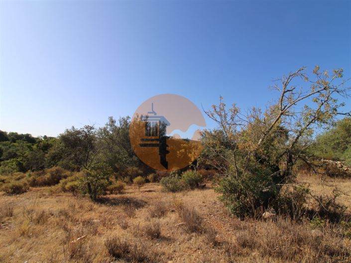 Image No.11-Plot for sale