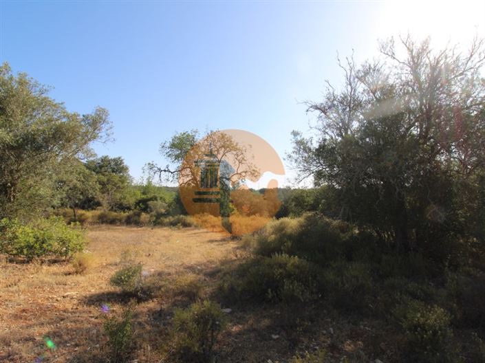 Image No.12-Plot for sale