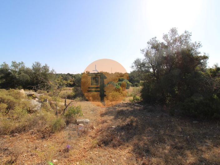 Image No.16-Plot for sale