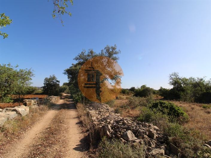 Image No.21-Plot for sale