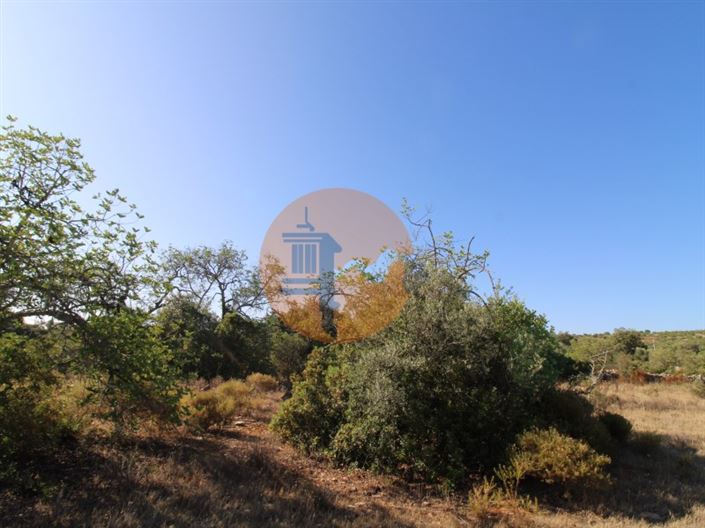 Image No.3-Plot for sale