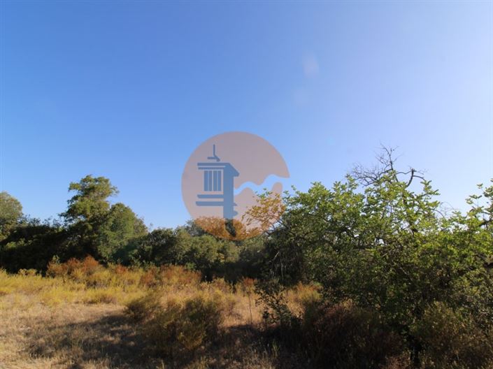 Image No.4-Plot for sale