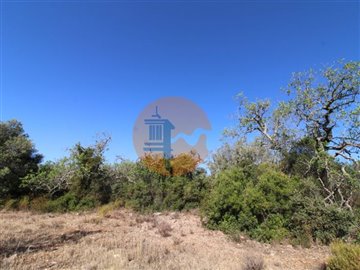 idea006f01-0000-0500-0000-000011aacdb0