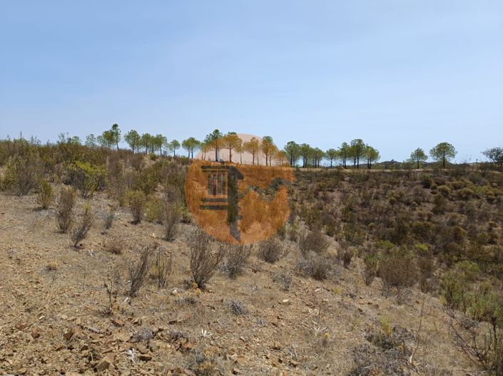 Image No.17-Plot for sale