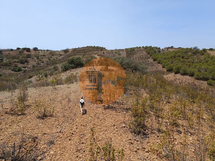 Image No.21-Plot for sale