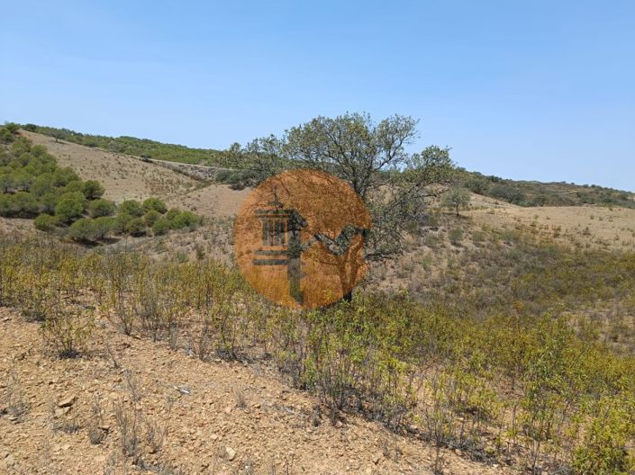 Image No.28-Plot for sale