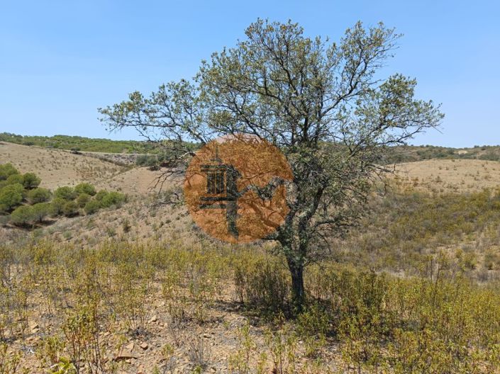 Image No.3-Plot for sale