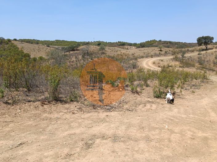 Image No.31-Plot for sale