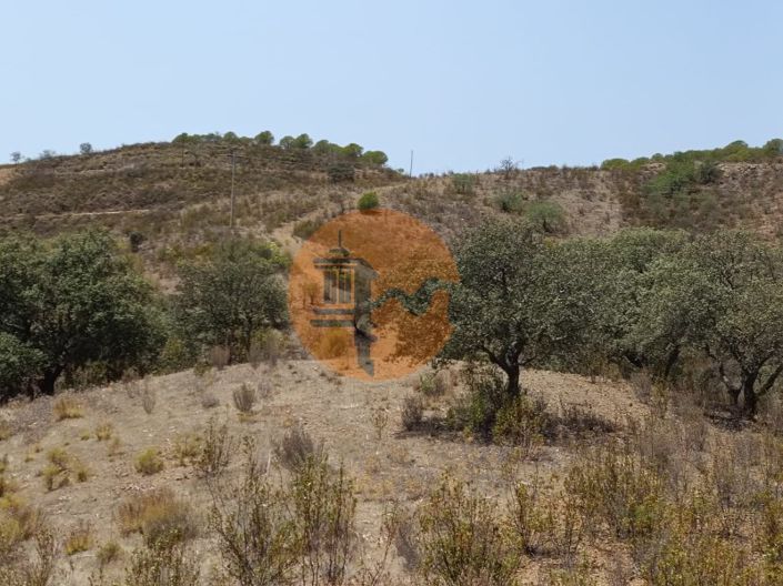 Image No.5-Plot for sale