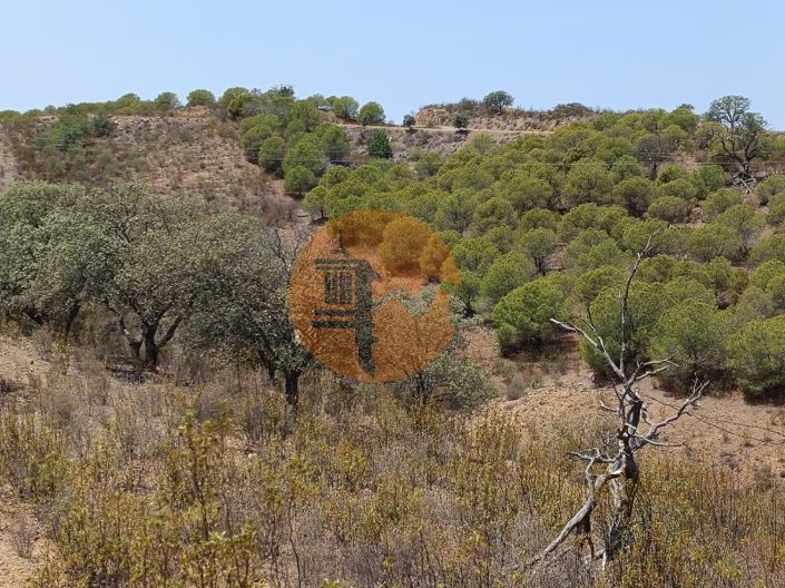 Image No.7-Plot for sale