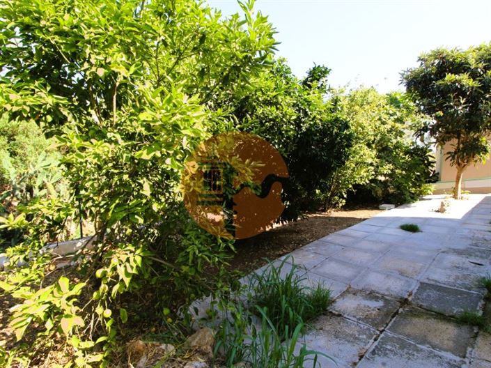 Image No.20-Maison de 3 chambres à vendre à Olhão