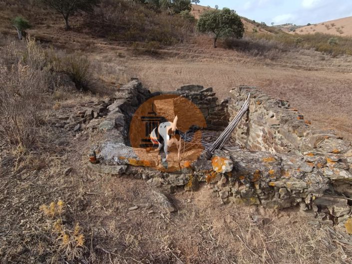 Image No.10-Plot for sale