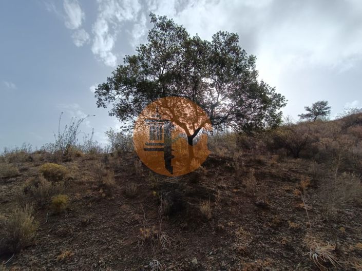 Image No.13-Plot for sale