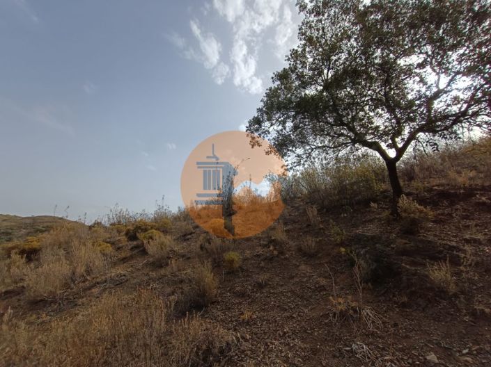 Image No.26-Plot for sale