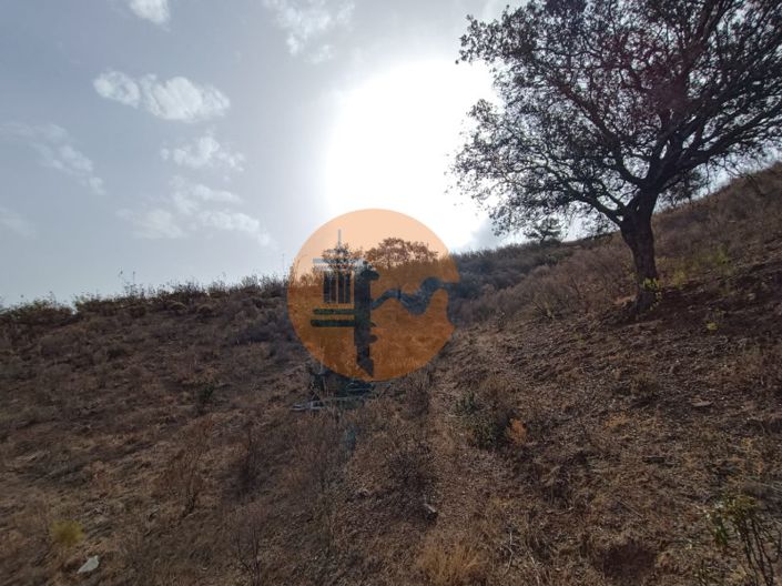 Image No.3-Plot for sale