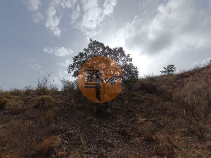 Image No.39-Plot for sale