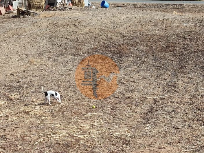 Image No.52-Plot for sale