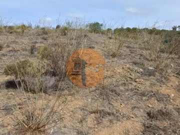 id4cd17301-0000-0500-0000-00001227efe3