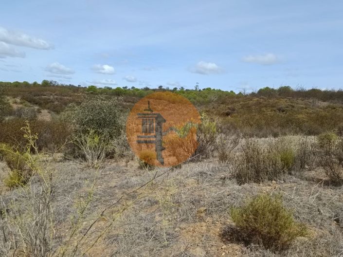 Image No.6-Plot for sale