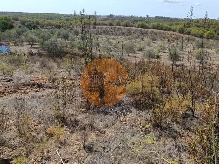 Image No.10-Plot for sale