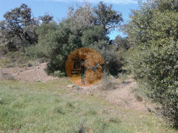 Image No.15-Terrain à vendre à Castro Marim