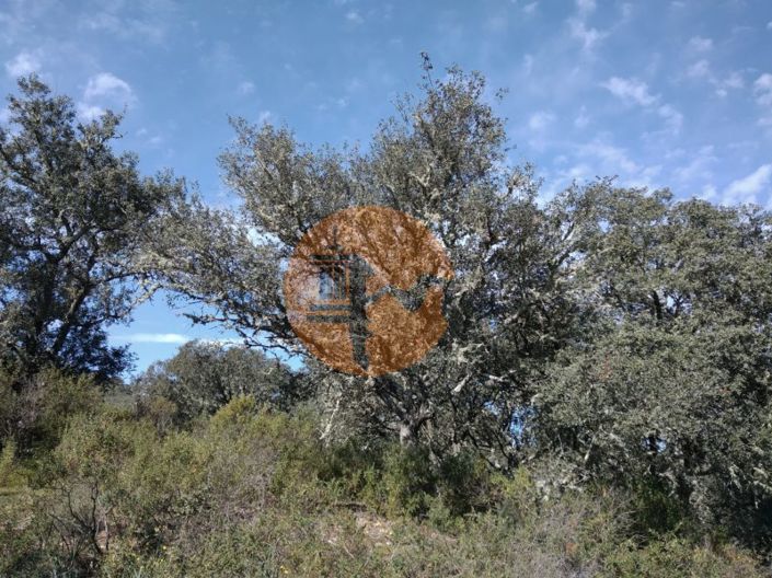 Image No.16-Terrain à vendre à Castro Marim