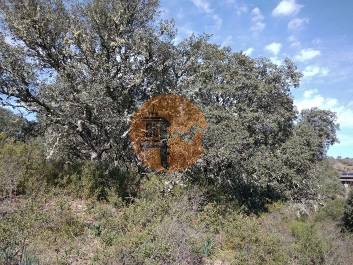 Image No.17-Terrain à vendre à Castro Marim