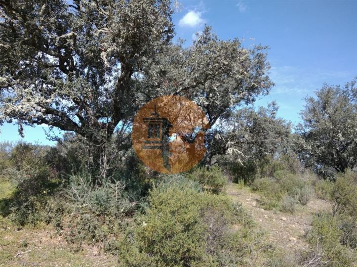 Image No.20-Terrain à vendre à Castro Marim