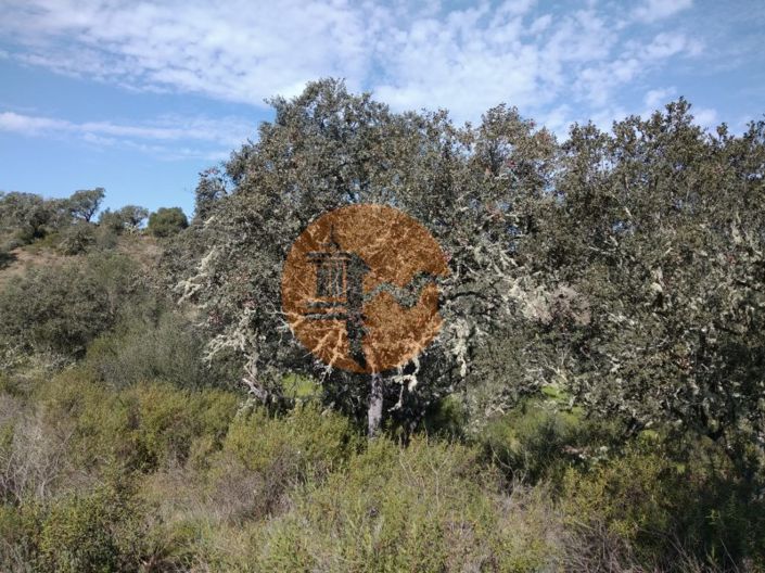 Image No.22-Terrain à vendre à Castro Marim